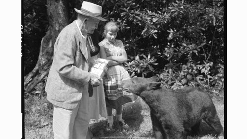 Feeding black bears was considered good sport for decades in the parks. In this shot from 1957, a man feeds crackers to a bear in Great Smoky Mountains National Park.