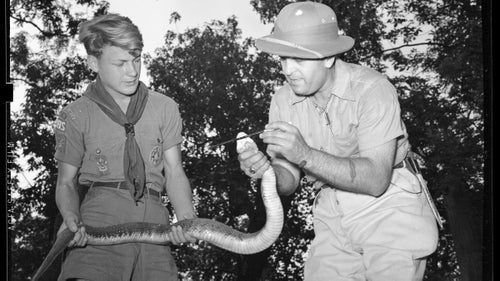 On the eve of the National Parks Service's centennial celebration in August, NPS and Clemson University unveiled a new online digital archive of historic photos from the parks.
The Open Parks Network currently holds more than 100,000 high-resolution photos, and continues to grow. The photos date back to the early 20th century and show just how much visitor experiences have changed over the decades. Feeding the animals鈥攊ncluding bears鈥攚asn't so much verboten as it was a major tourist attraction. And to look at some of the outfits, you'll be more thankful than ever for microdown and fleece.
At the same time鈥攑rovided the right Instagram photo filters, photos of people looking in awe at mountain panoramas or sprawled out in camp could have easily have been taken today. And remember those Canadian teenagers who got in trouble for walking up to a geyser in Yellowstone this summer? They weren't the first.
With the help of Rachel Jane Wittmann, the network鈥檚 National Parks metadata specialist, we dove into the archive to find some of the very best photos from the collection so far.
Photo: A man identified as Jack Raymon teaches a Boy Scout how to hold a cottonmouth moccasin, also known as a water moccasin, in 1940. The snakes are extremely venomous.