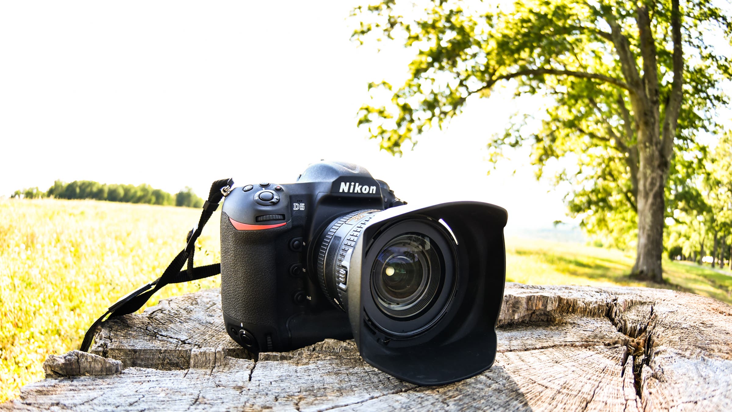 Nikon