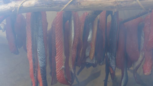 Whenever we enjoyed a bounty, we needed to preserve it for lean days ahead. The slow, contemplative process of smoking salmon on the beach was a regular part of our experience.
