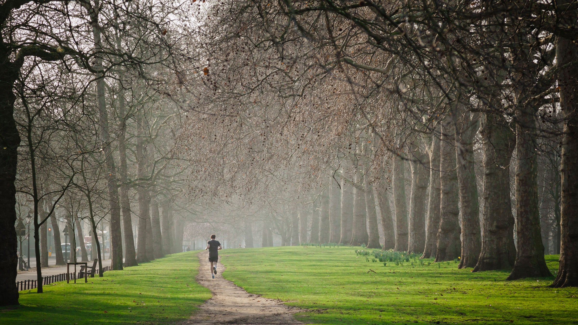Though I have occasionally run with company, I have always preferred the on-scrolling solitude. 