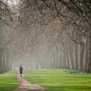 Though I have occasionally run with company, I have always preferred the on-scrolling solitude.