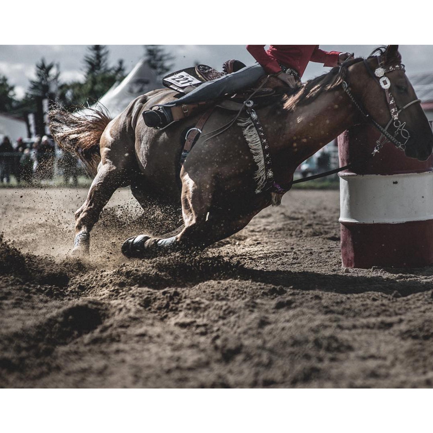 @ellephoto - Rockton Fair Grounds - I could easily watch this all day.