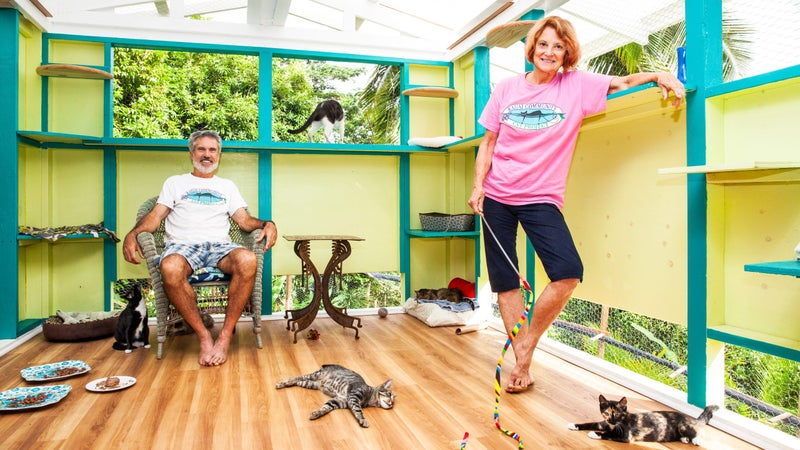 Basil and Sue Scott in their newly built “cat-zebo.”