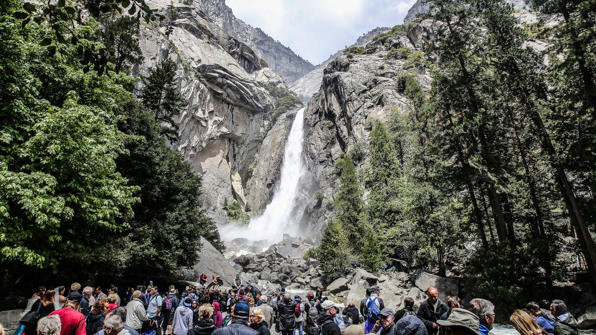 Is It Time to Franchise Our National Parks?