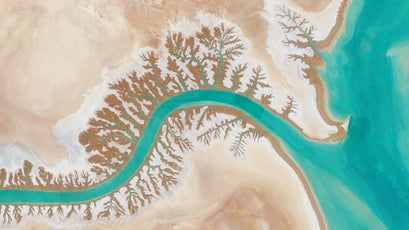 Dendritic drainage systems are seen around the Shadegan Lagoon by Musa Bay in Iran. The word ‘dendritic’ refers to the pools’ resemblance to the branches of a tree, and this pattern develops when streams move across relatively flat and uniform rocks, or over a surface that resists erosion.