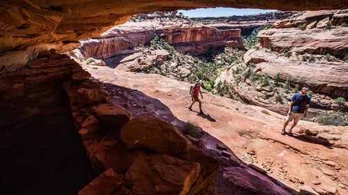 These elections could be the deciding factors for the future of our public lands.