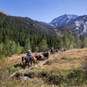 Oregon’s Hells Canyon and Eagle Cap Wilderness areas are some of the most rugged, wild land in the Lower 48. Home to the continent’s deepest gorge, the nearly 600,000-acres of federally designated wilderness is managed under the Wilderness Act of 1964, which means no cars, trucks, or motorized tools. To comply with that mandate, the Forest Service’s Eagle Cap Ranger District has always used horses and mules to pack in the heavy equipment necessary to build and maintain trails within the wilderness. But the herd is aging rapidly, and the budget for replacing the animals is small. 
Enter the wild mustangs. For more than a decade, the Bureau of Land Management (BLM) has worked with inmates in the Nevada Department of Corrections to train these horses for adoption. This spring, managers of Hells Canyon and Eagle Cap Wilderness areas approached the BLM about using the mustangs on their trail crew. (The Wild Horse and Burro Act allows for exchange of horses between federal agencies.) Last spring, 11 mustangs joined the Eagle Cap Ranger District herd. 
This summer, I visited the Northern Nevada Correctional Center, and then followed some of its horses into the Oregon backcountry.