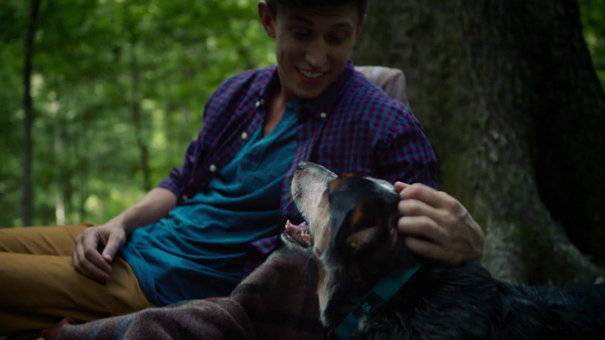 This Series From Iams Is the Best Ad They've Ever Made