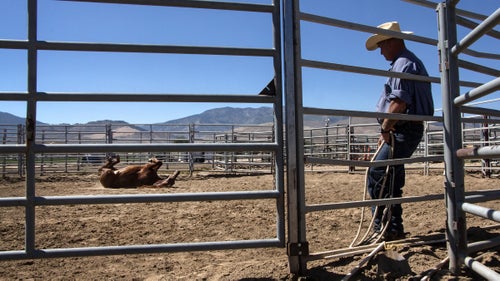 Parker watches as one of the three mustangs he’s currently working with rolls off the sweat and stiffness from a day’s workout. “It’s not a prison out here. If you’re having a bad day in there, you come out here, and you can’t have a bad day out here,” says Parker. He already has two offers to work with horses when he gets out in a few months. He plans to adopt one of the mustangs.