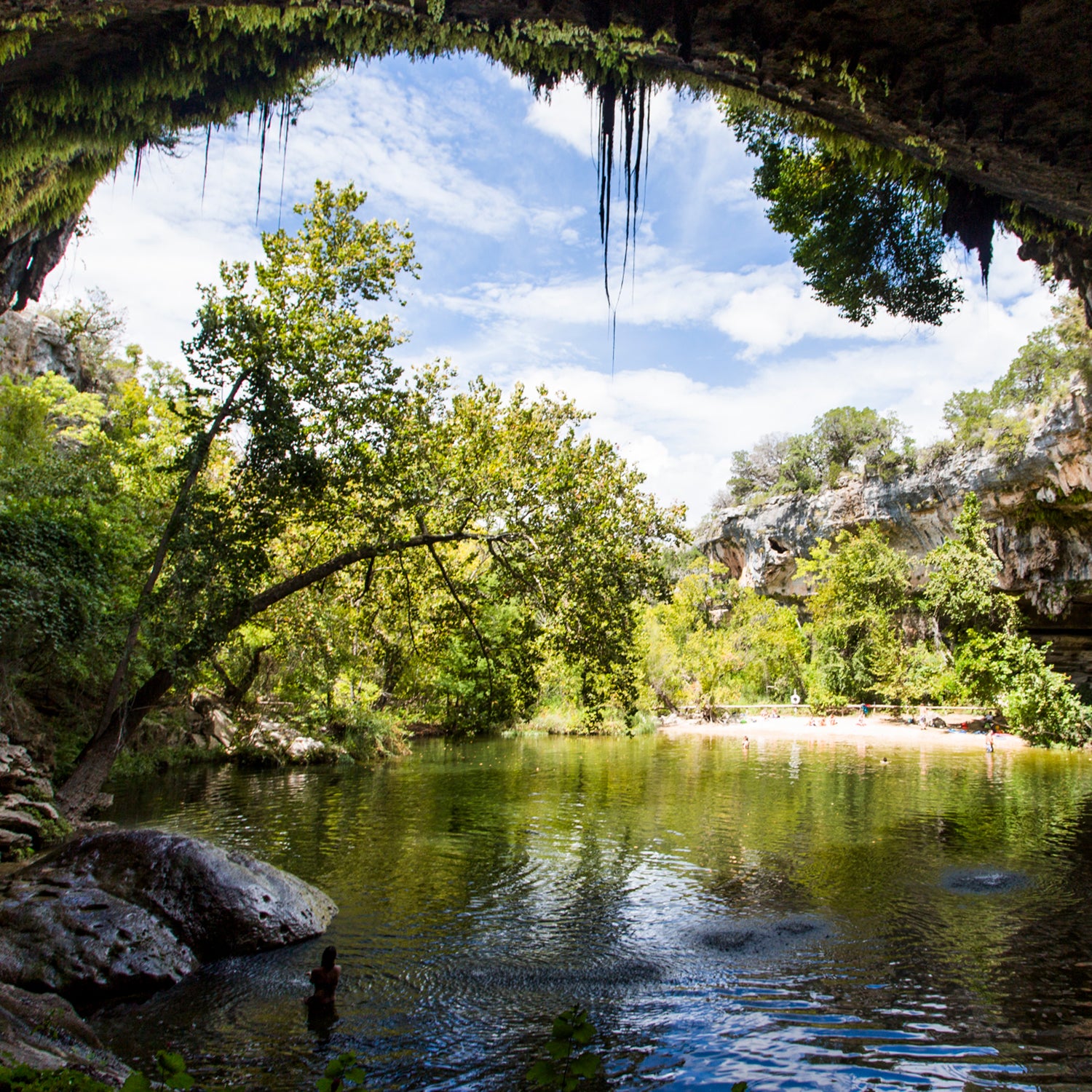 If you’ve splashed in a warm body of freshwater recently, chances are you frolicked in the home turf of an amoeba that kills 97 percent of the people it infects.
