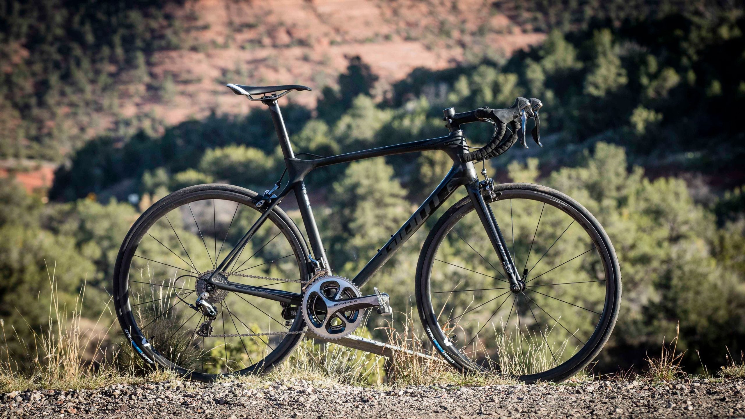6-Month Test: Giant TCR Advanced Pro 0