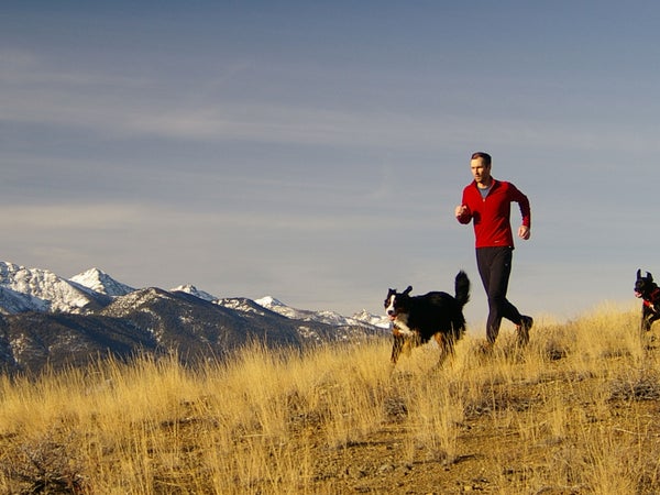Want to endurance train with your dog? Look no further.