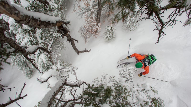 Ajax powder day.
