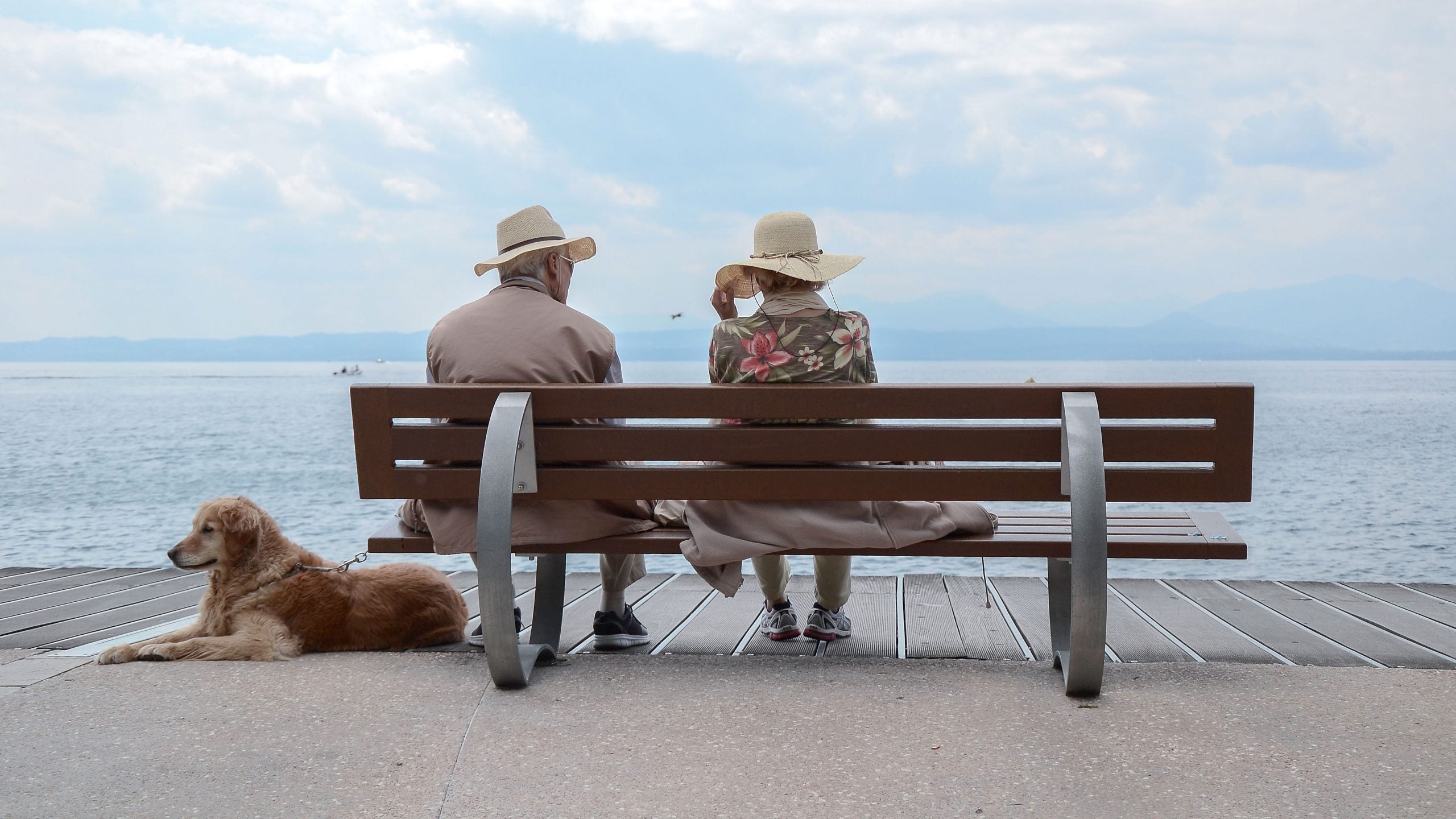 When you move in together, make sure your dogs are on board.