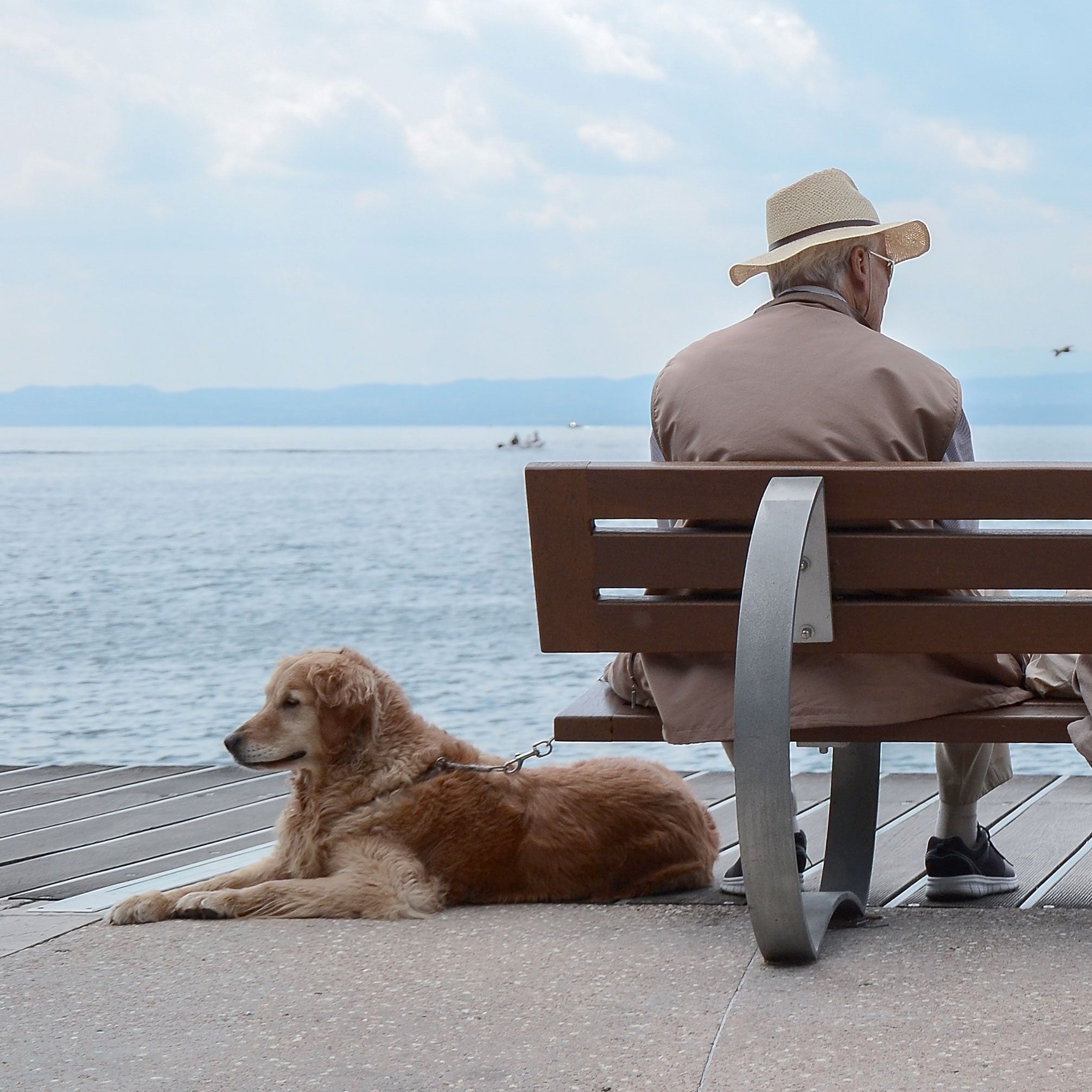 When you move in together, make sure your dogs are on board.