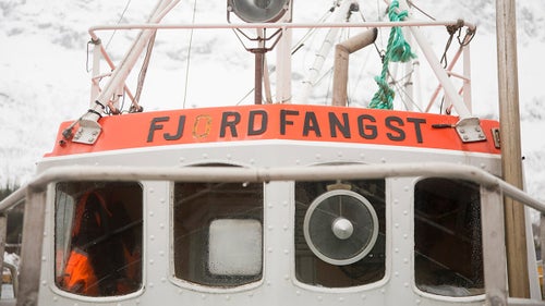 If you want to break up your touring vacation, you can book a whale-watching trip. There’s even a chance to try some tours that are accessible only from the ocean, so you can step directly from a boat onto a snowy shore, skins on.