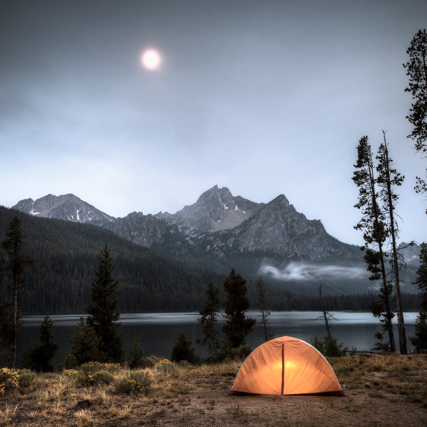 Sleeping Alone in the Woods While Female pic