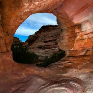 Gold Butte, a dramatic stretch of Mojave Desert and sagebrush steppe with fozzilized dunes and Native American etchings, is also home to Cliven Bundy and his family.