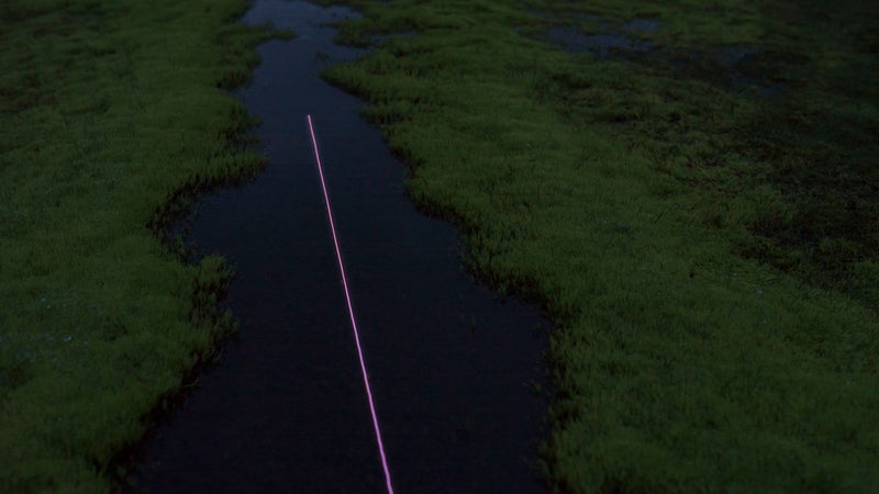 3hund has experience creating these mind-bending, luminescent scenes in nature. In the 2014, they used similar projector techniques to make the short Bioluminescent Forest. 

We hope they make it into a trilogy.