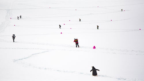 Some of Hermsmeyer’s shots might seem like idyllic winter landscapes and their aesthetic appeal can overshadow the grueling aspects of the race. “None of these races are kind. I mean, the terrain is just not fun,” says professional ultra-runner Jax Mariash Koudele. “Just know that while you’re staring at that really cool penguin, you’re suffering.”