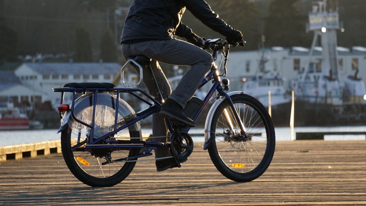 Rad Wagon Electric Cargo Bike