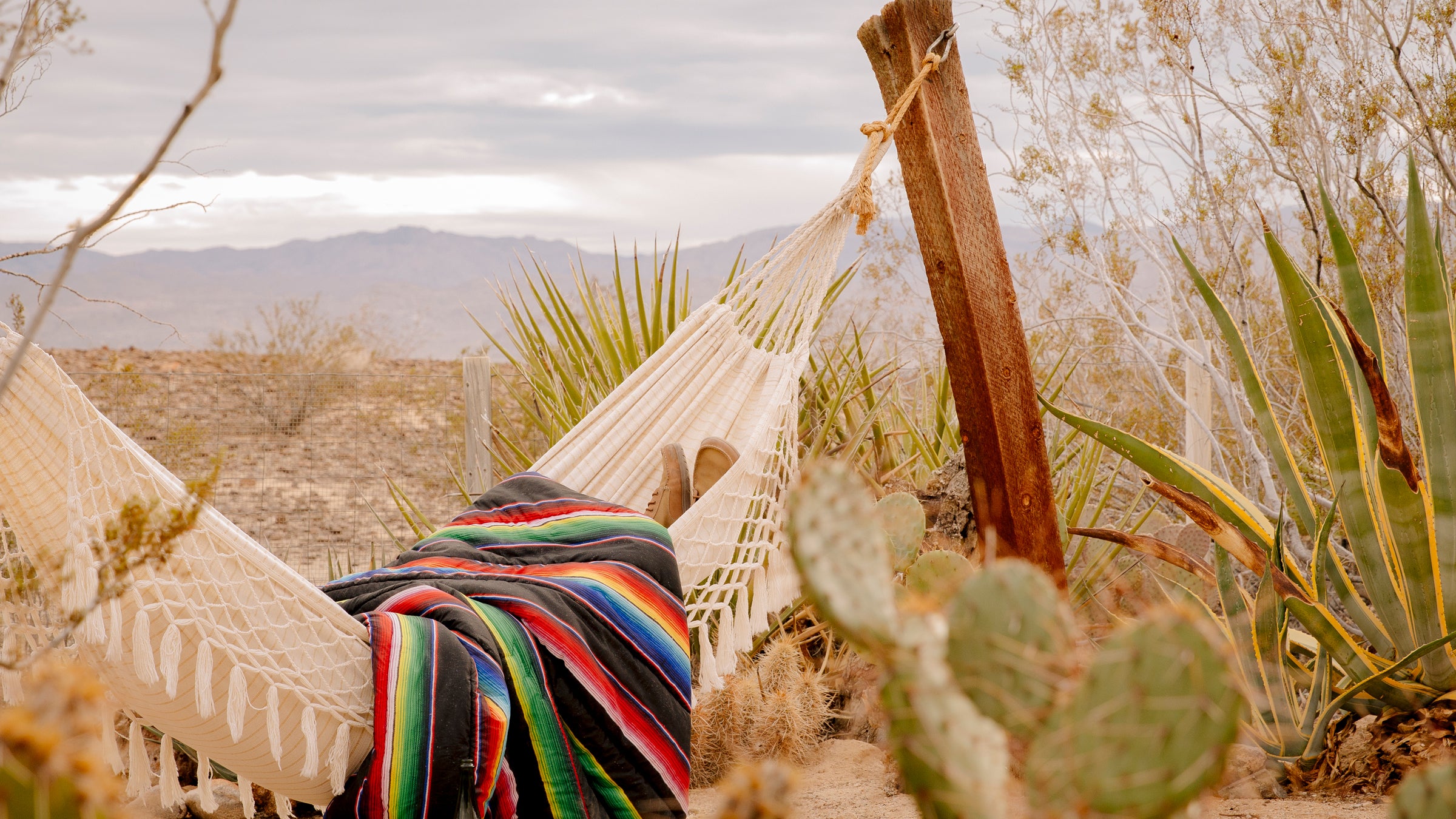This is the only blanket you'll ever need.