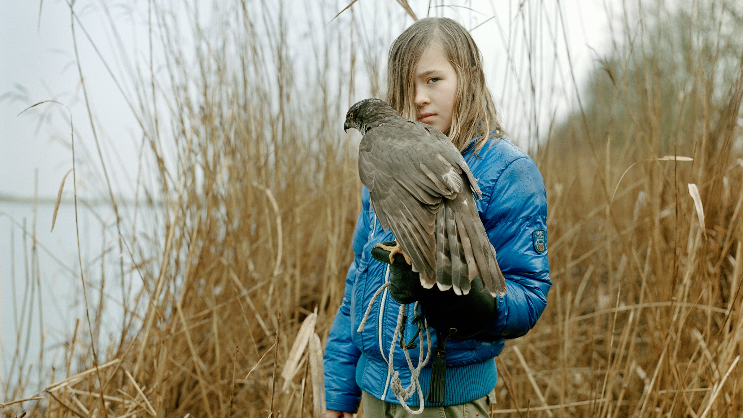 Titel: Angie & Myra  (havik)                Serie: Vogelkinderen. Begeleidende tekst: Vanaf het moment dat Rik de parkiet op zijn jongenskamer leerde om van de kooi naar het bed te vliegen, besloot hij valkenier te worden. In het weekend en de schoolvakanties werkt hij dan ook als vrijwilliger bij de valkenier op landgoed Hoenderdaell. Een smartphone of e-mailadres heeft Rik niet, maar wel een eigen roodstaartbuizerd.