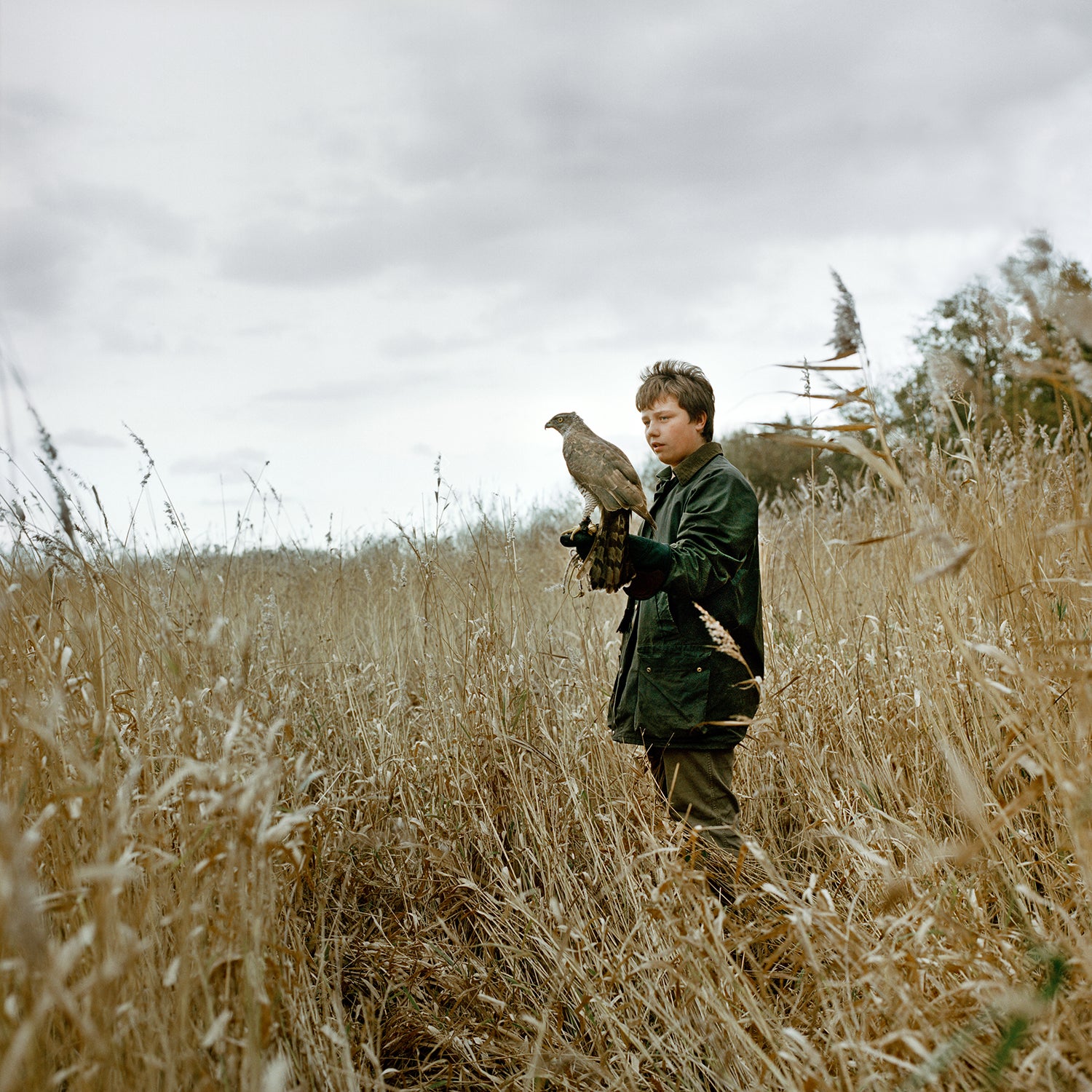 Nick in the open field with his hawk Myra. Nick knows a lot about birds, as do all of the other falconers-in-training. They are like walking Wikipedia pages of bird knowledge, rattling off everything from Latin names to attack speeds.