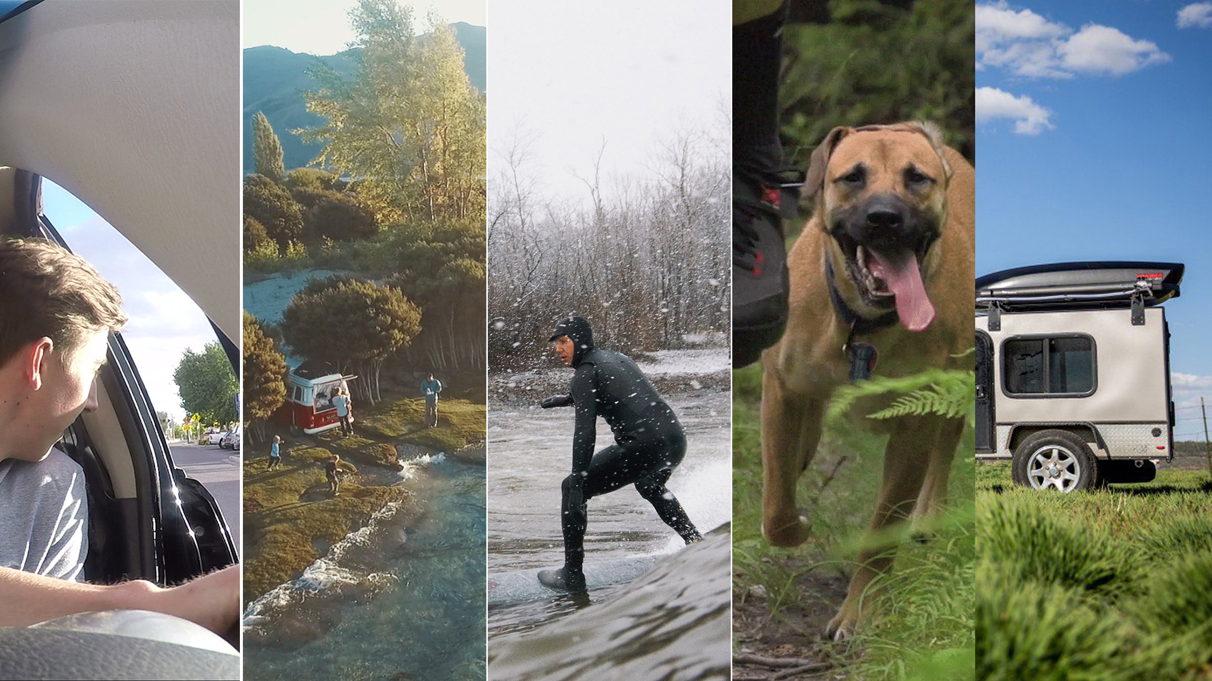 From a cyclist-saving secret to the best adventure companion, these were your favorite videos of 2016