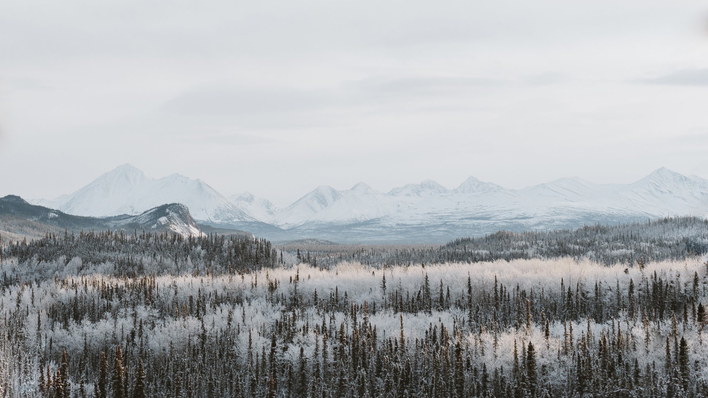 Filter or no, shots of these parks are the highlights of the feed.