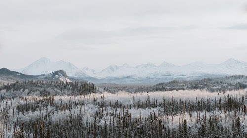 Filter or no, shots of these parks are the highlights of the feed.