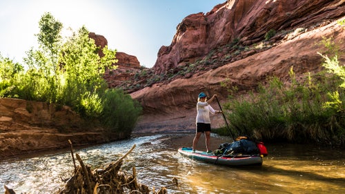 Early in the trip, we paddled past clumps of dead roots and branches that had washed downstream. A portion of this debris was leftover from the mitigation work being done to remove the nonnative Russian olive and tamarisk trees. The Escalante River Watershed Partnership鈥攁n alliance of more than 30 private and public agencies, groups, and individuals that range from the Grand Canyon Wildlands Council to the Nature Conservancy鈥攈as targeted more than 6,000 acres for restoration along the Escalante and its tributaries to ensure a healthy riparian ecosystem.