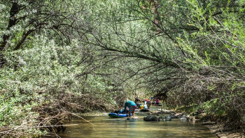 Glamorous start? Not exactly. Moving southbound from the put-in, our five-person crew more or less pushed our SUPs for the first six miles through overgrown, sharp, spider-filled Russian olive and tamarisk trees, both invasive to the area.
