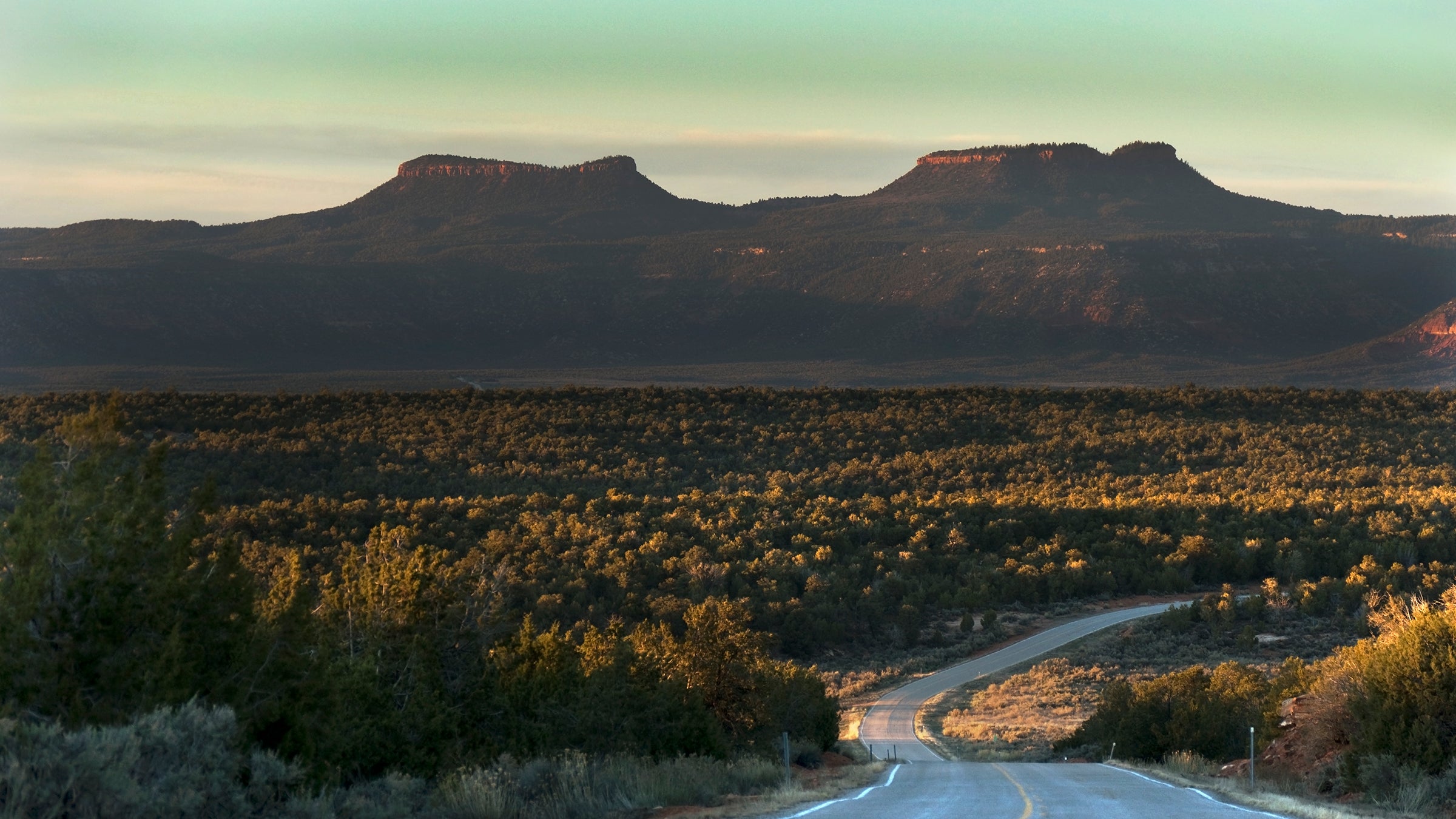 Bears Ears, which was designated as a national monument by President Obama on December 28, has ardent supporters and detractors. 