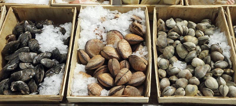 Display of shellfish