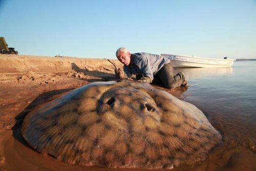 Q&A with River Monsters' Jeremy Wade