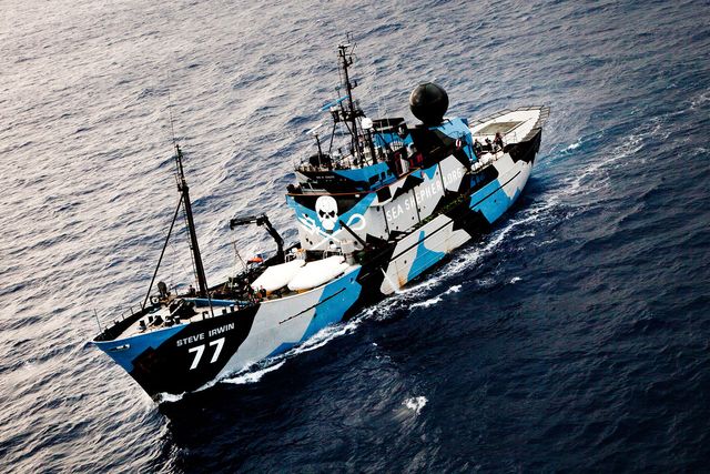 Sea Shepherd battle with Japanese whaling ships ends with a whimper