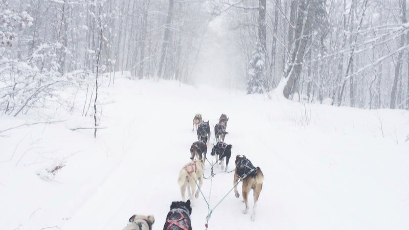 A 10-dog training run over Brockway Mountain in Michigan's Keweenaw Peninsula.