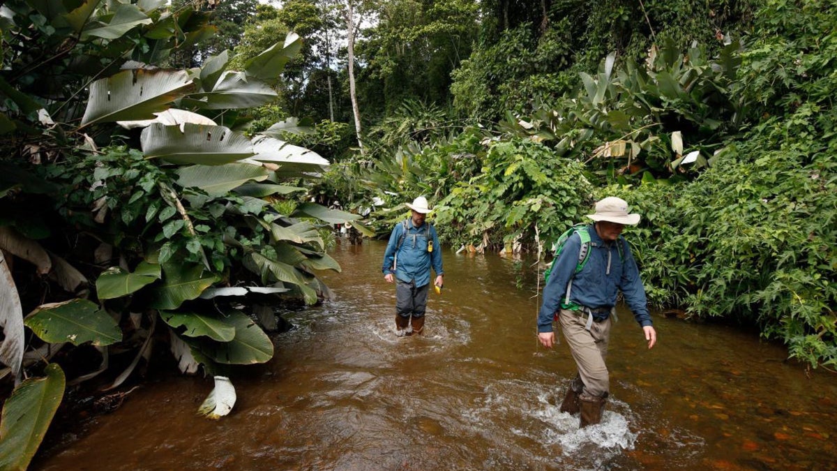 The (Almost) True Legend of a Lost, Cursed Honduran City