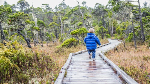 We have taught our kids to fear failure, and in doing so, we have blocked the surest and clearest path to their success.