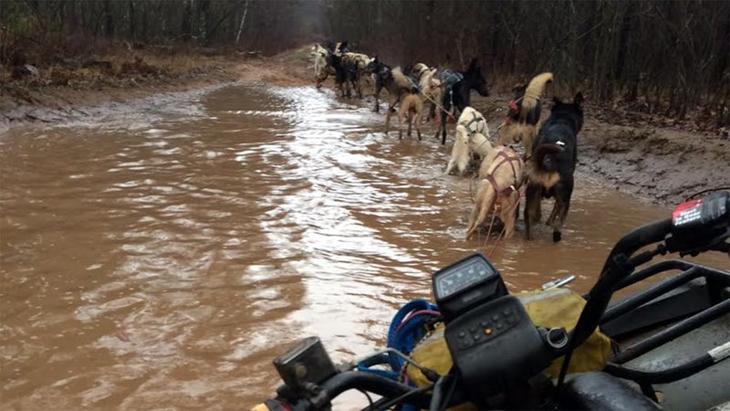 You can never predict how deep that puddle's going to be.