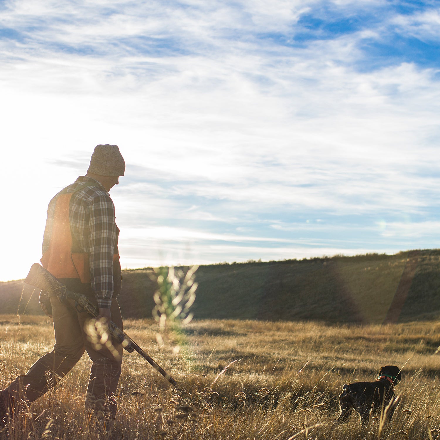 As people bought out their local gun shops, one of the most important means the federal government uses to manage land and wildlife grew stronger.