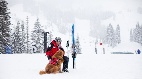A ski patroller and his dog.