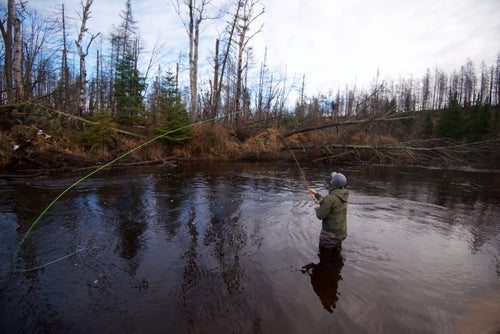 Swinging鈥攁 long slow drift of the fly moving with the current鈥攆or Great Lakes steelhead often requires two-handed rods, tight loops, and accurate casts. Angler and friend Gerrit Rauch was up to the challenge on the famed Two Hearted River.