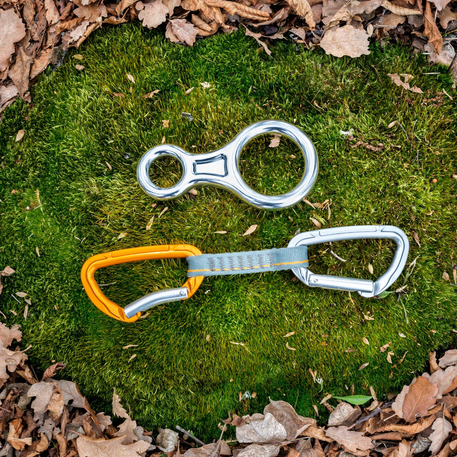 Above view of rope security hardware placed on the moss with dry leaves around. There are figure 8 and two carabiners.