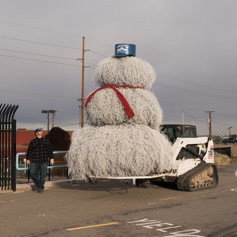 Another holiday tumbleweed tradition: the Albuquerque Metropolitan Arroyo Flood Control (AMAFCA) tumbleweed snowman in Albuquerque. AMAFCA is an organization that encounters big tumbleweeds growing every year in and around Albuquerque's waterways. They collect three of the largest tumbleweeds they can find each November, build a giant snowman, and stick him out next to the highway.
