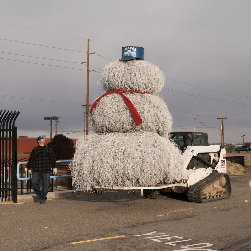 Gigantic Country Tumbleweed (Tumble weed)