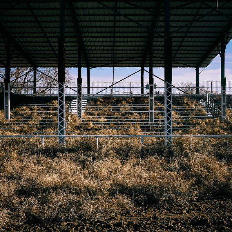 One Photographer's Mission to Capture America's Tumbleweed Invasion