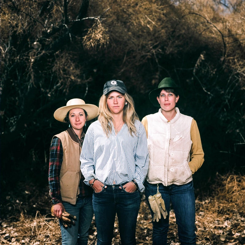 One Photographer's Mission to Capture America's Tumbleweed Invasion